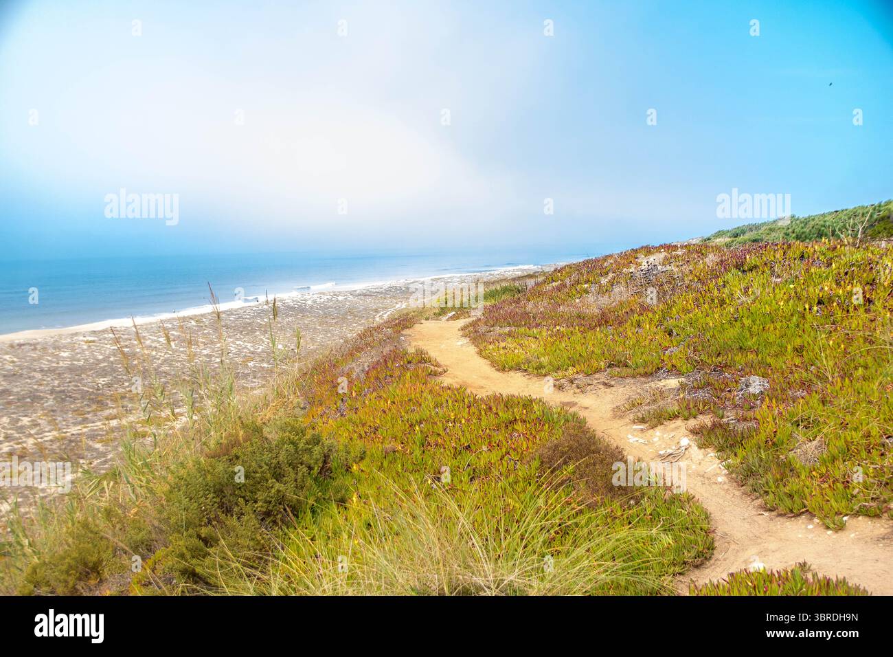 La plage sauvage de Praia do Norte (« plage du Nord ») à Nazaré, région portugaise de l'Oeste, qui en raison de ses vagues blanches géantes est célèbre pour son sur Banque D'Images