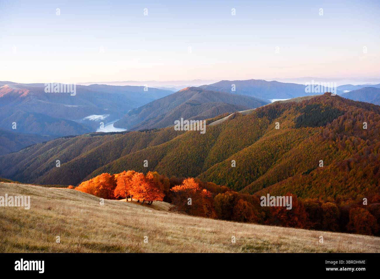 Sunset peint la forêt de hêtres rouges dans les riches couleurs d'automne à travers les pentes de montagne. Forêt d'automne avec lumière de l'heure d'or et toile de fond saisonnière paisible. Paysage de montagnes au coucher du soleil Banque D'Images