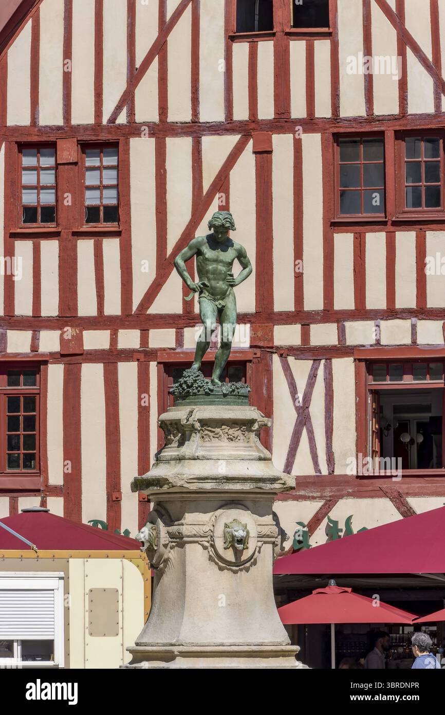 Fontaine emblématique de Bareuzai et dans le fond la maison à colombages rouge et blanc sur PL. Place François rude dans le vieux centre-ville, Dijon, Côte Banque D'Images Fontaine emblématique de Bareuzai et dans le fond la maison à colombages rouge et blanc sur PL. Place François rude dans le vieux centre-ville, Dijon, Côte Banque D'Images