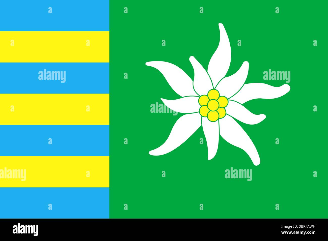 Drapeau du Raion de Rakhiv, oblast de Zakarpattia, Ukraine – drapeau régional avec des couleurs bleues et jaunes et emblème local, illustration vectorielle Illustration de Vecteur