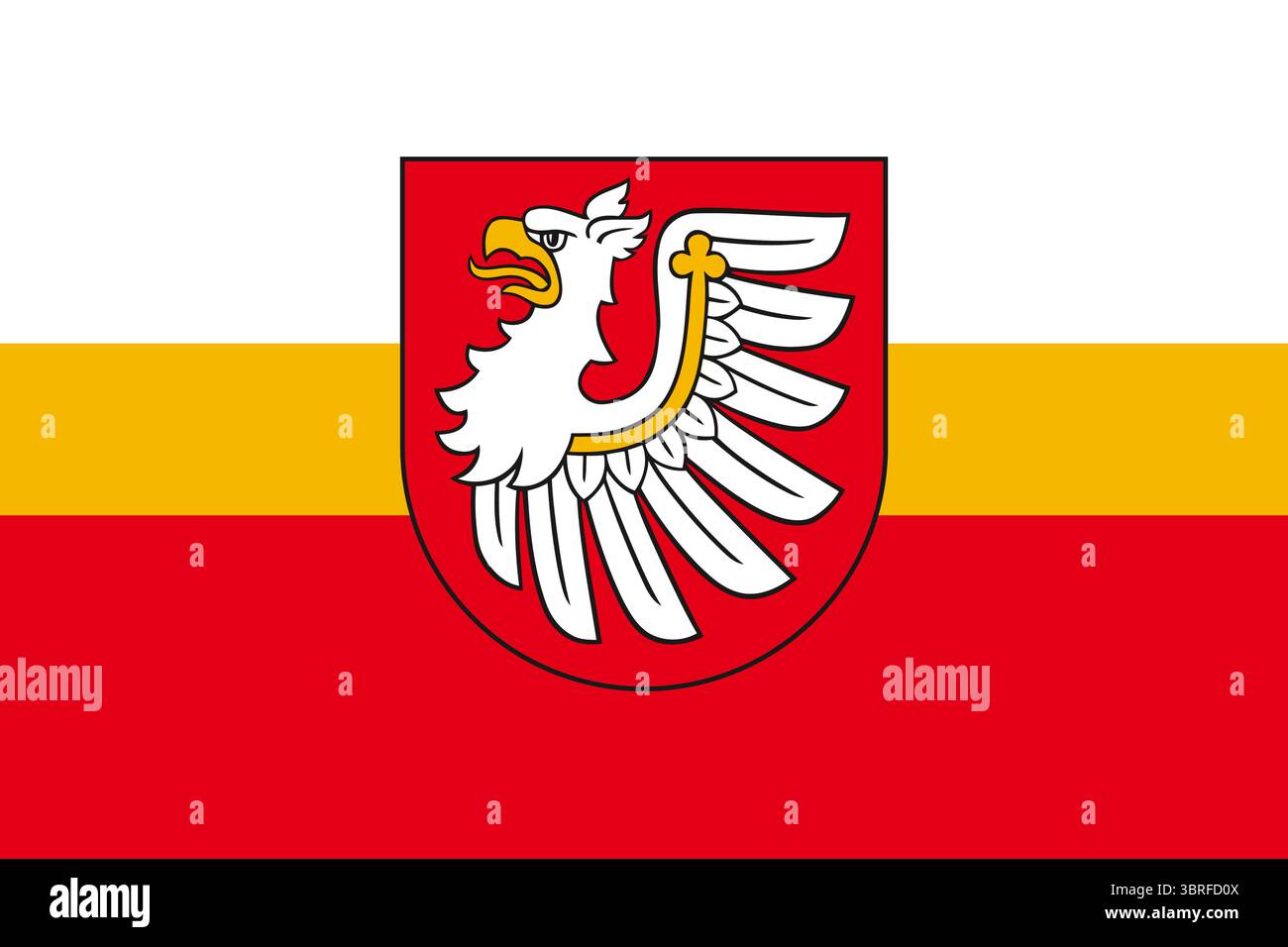 Drapeau officiel du comté de Brzeski, Pologne, bicolore rouge et jaune avec aigle blanc héraldique et aigle noir de Silésie, drapeau régional polonais, vecteur illus Illustration de Vecteur