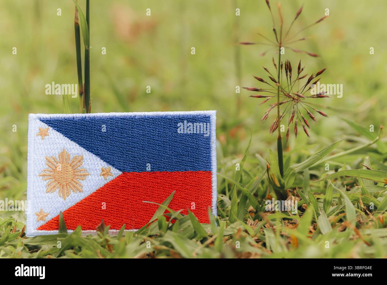 Drapeau écologique des Philippines de tissu et de fil sur l'herbe fraîche. Concept vert, jour de la terre, changement climatique et sensibilisation à l'environnement. Banque D'Images
