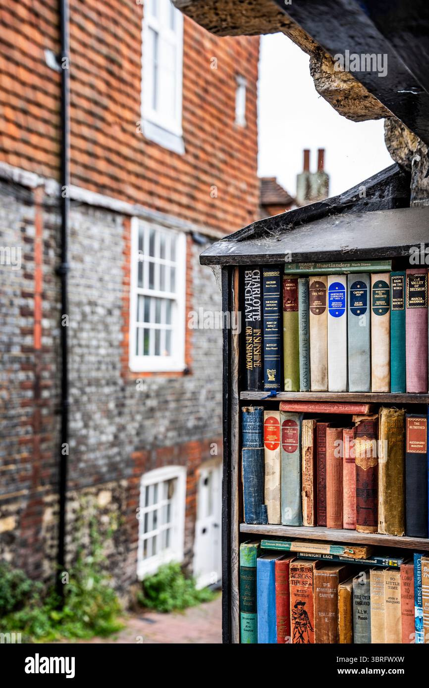 Des livres exposés sur une étagère à l'extérieur de la librairie Fifenth Century à Lewes, en Angleterre, mettent en valeur le riche patrimoine littéraire et le charme de la ville. Banque D'Images
