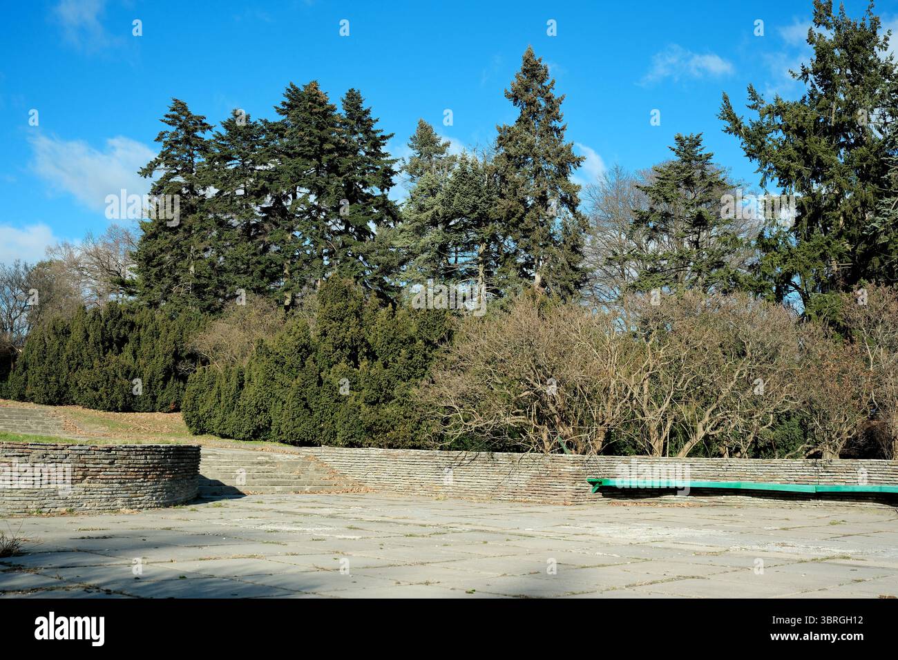 Un parc paisible présente des arbres vibrants contre un ciel lumineux et des sentiers de pierre. Banque D'Images