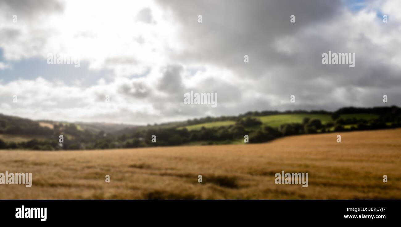 Vue panoramique sur les terres agricoles Banque D'Images