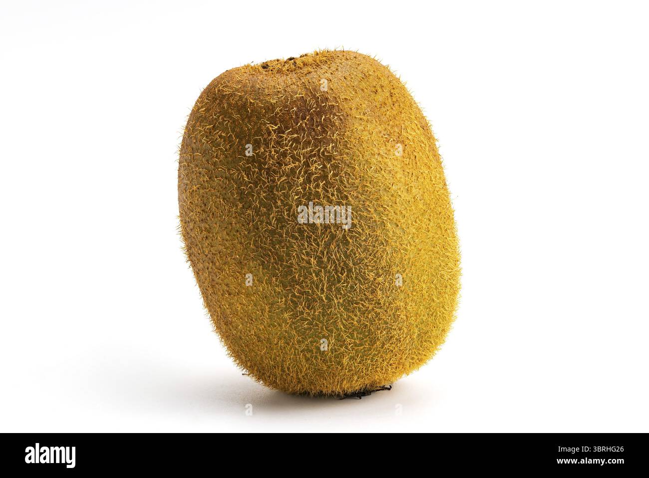 Kiwi velu frais mûr unique isolé sur fond blanc. Le kiwi ou groseille à maquereau chinoise est originaire du centre et de l'est de la Chine Banque D'Images