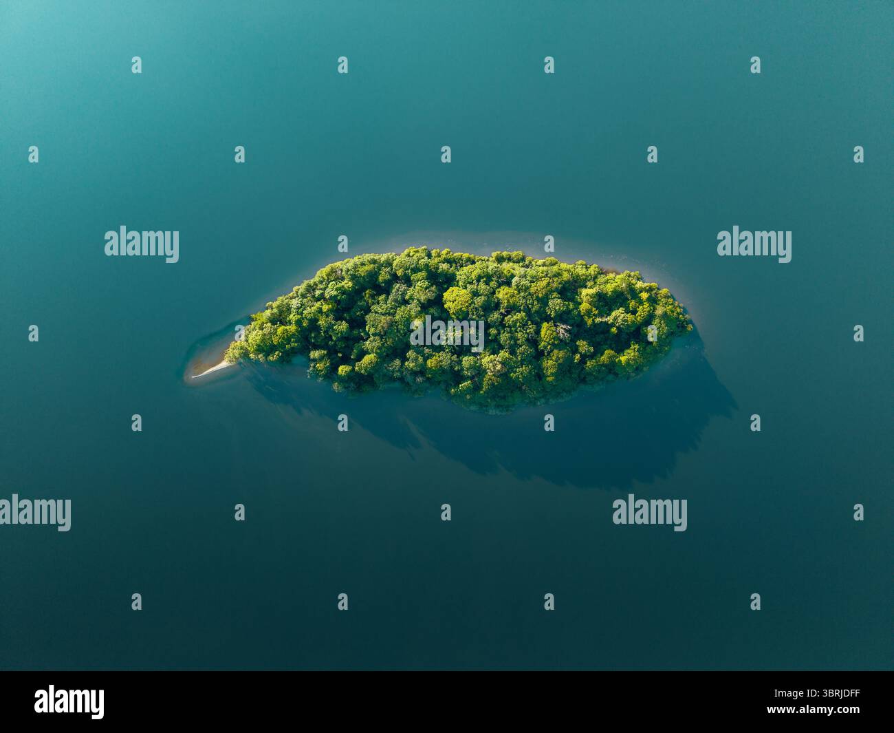 Vue aérienne de haut en bas de l'île Rampsholme sur le lac Derwntwater dans le parc national English Lake District qui est isolé et entouré par l'eau wi Banque D'Images