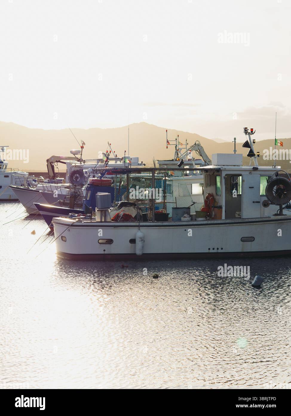 Baie des pêcheurs au coucher du soleil – Golfo Aranci, Sardaigne, Italie, Panorama vertical Banque D'Images