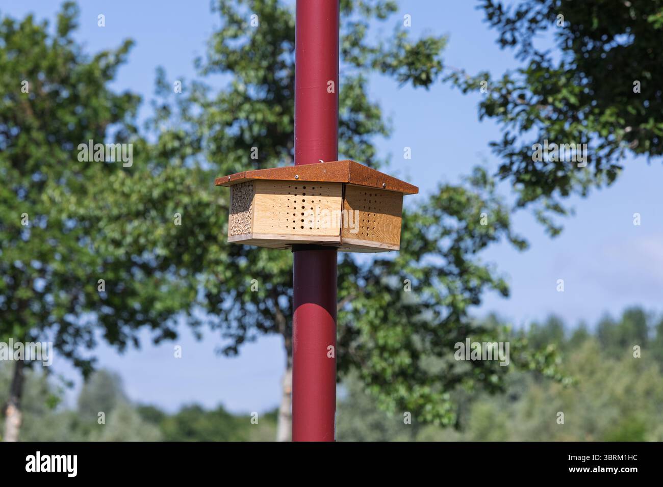 Un hôtel d'insectes en bois ou une maison d'abeilles sur un lampadaire rouge aux pays-Bas, niché dans un cadre naturel luxuriant en plein air, favorisant la biodiversité locale. Banque D'Images