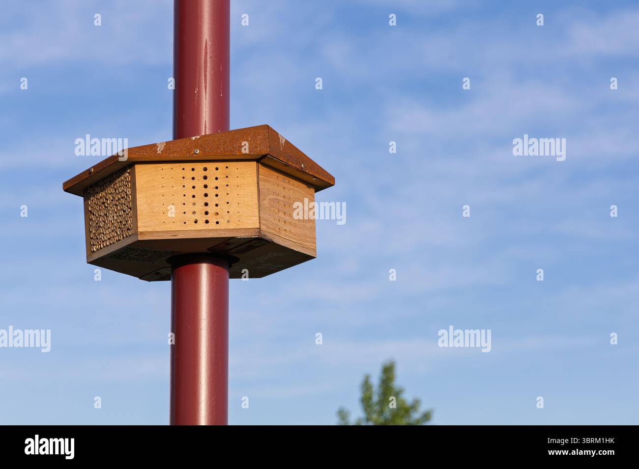 Un hôtel d'insectes ou une maison d'abeilles en bois est monté sur un poteau rouge contre un ciel bleu clair, favorisant la biodiversité et la conservation de l'environnement Banque D'Images