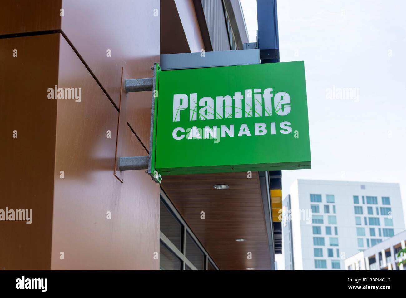 CALGARY, CANADA - 10 JUIN 2025 : signe du cannabis Plantlife au district universitaire de Calgary. Plantlife cannabis est une entreprise de vente appartenant à l'Alberta Banque D'Images