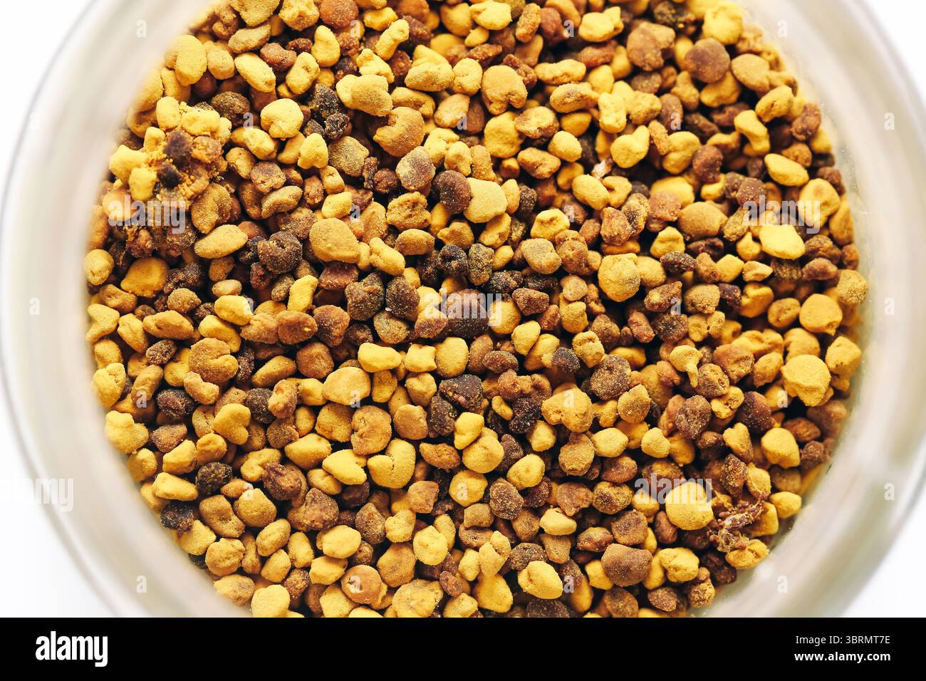 Granulés de pollen d'abeille dans un bocal en verre. Complément alimentaire naturel riche en nutriments. Macro gros plan grains brun jaune. Super-aliment sain de l'apiculture. Banque D'Images