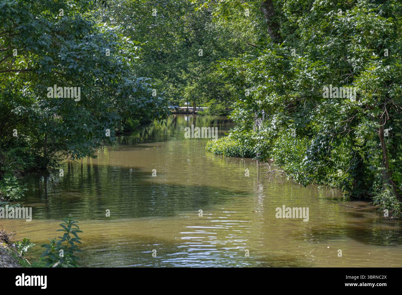 Photo de Big Walnut Creek à Gahanna Ohio pendant l'été près de Creekside Park et Arboretum Banque D'Images