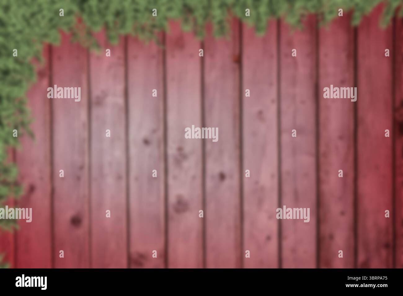 La clôture de planche en bois rouge se tient dans l'illustration vectorielle plate à l'extérieur avec des vignes grimpantes vertes Banque D'Images