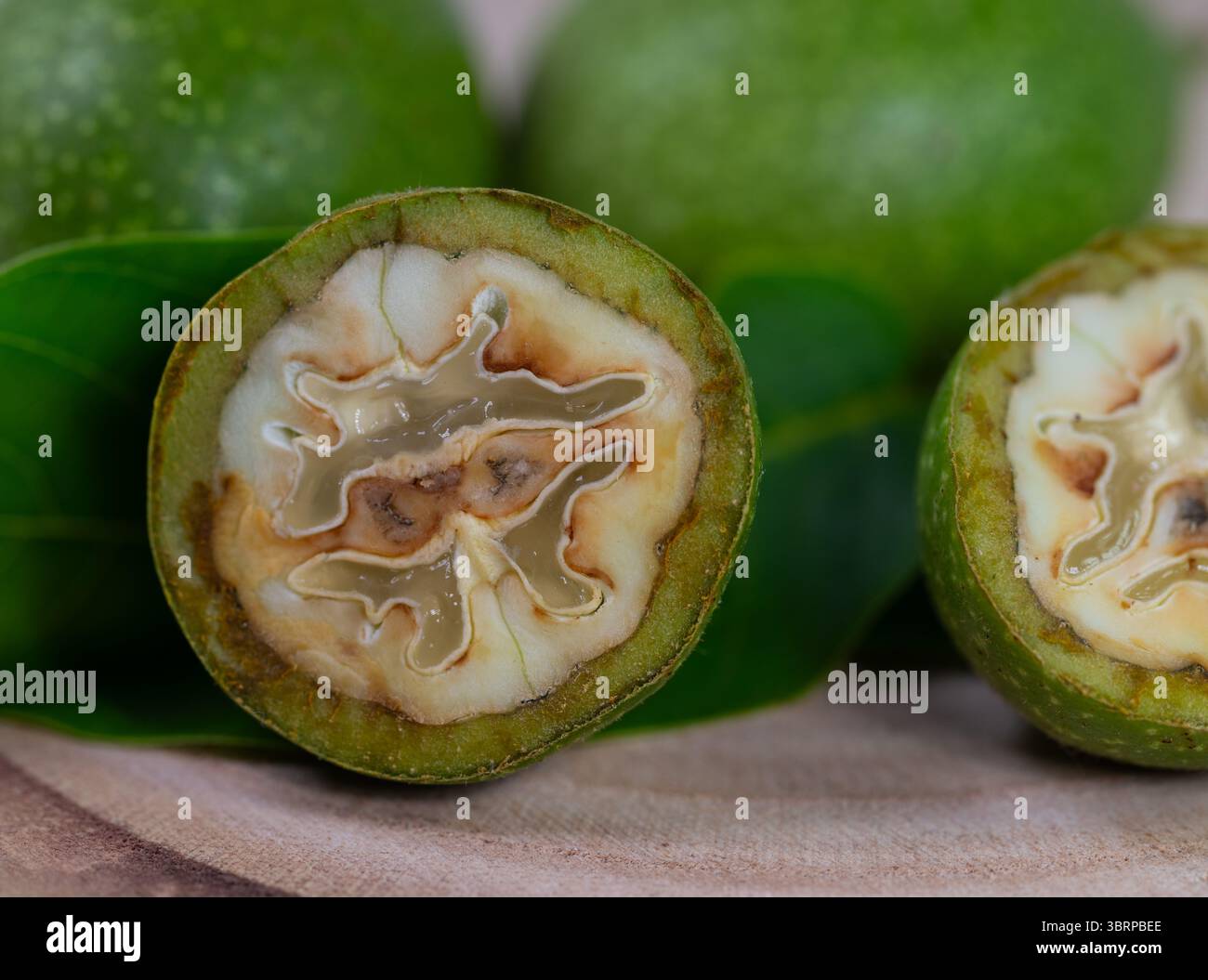 Gros plan de noix vertes non mûres Banque D'Images