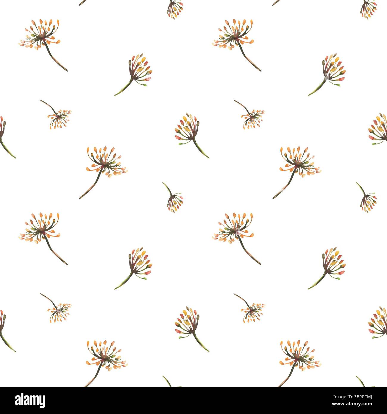 Aquarelle aneth ou graines de fenouil modèle sans couture. Illustration de peinture à l'aquarelle. Brins d'herbes séchées avec graines, inflorescence, parapluie. Clipart Banque D'Images