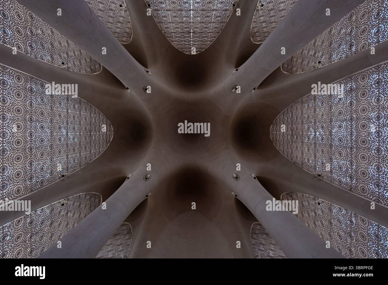 Vue détaillée d'un plafond architectural de conception complexe, avec des éléments à motifs et des courbes lisses formant une structure symétrique, Mosqué moderne Banque D'Images
