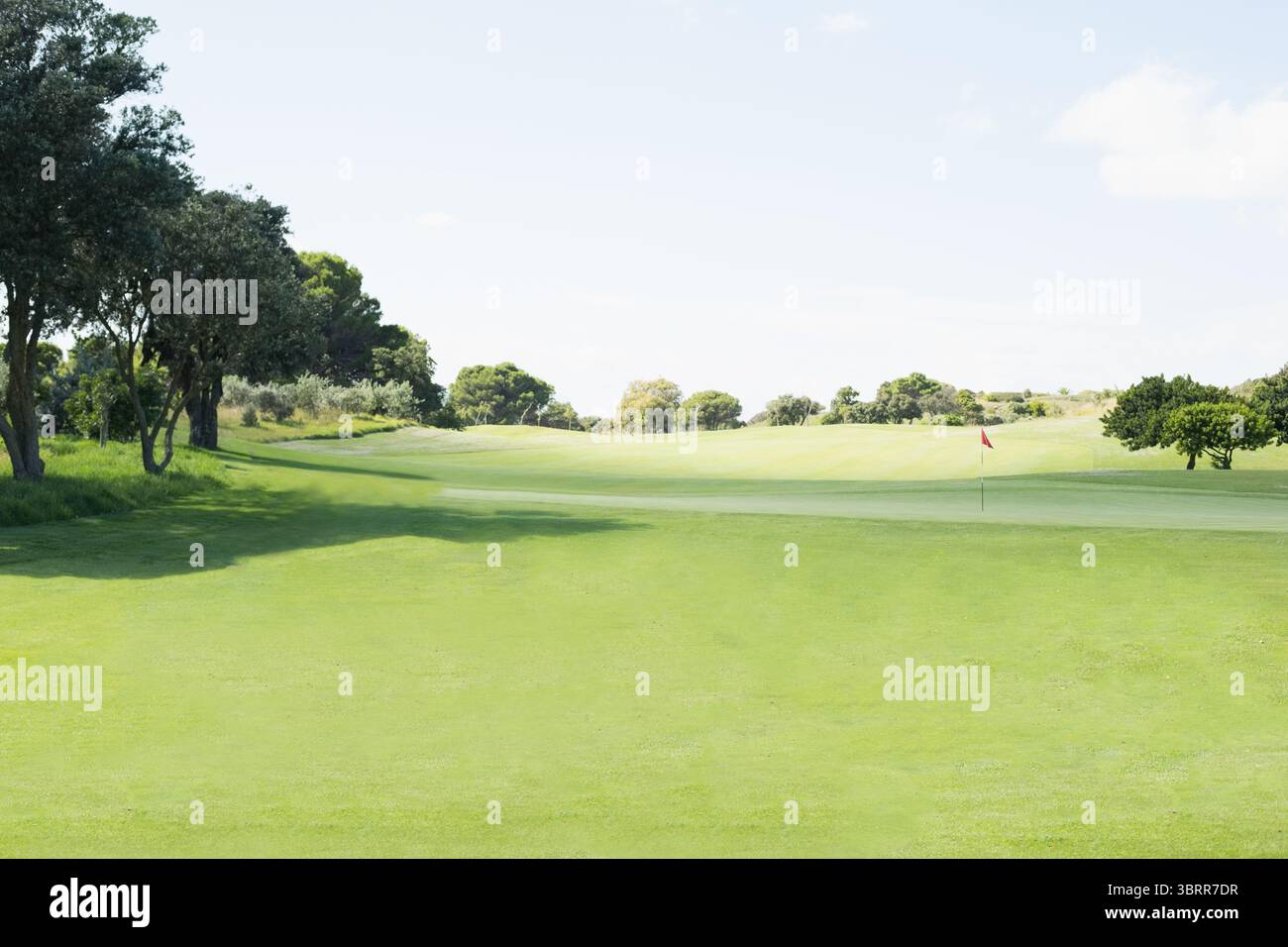 L'illustration de conception plate montre le drapeau rouge de golf et le trou sur putting green et fairway manucurés Banque D'Images