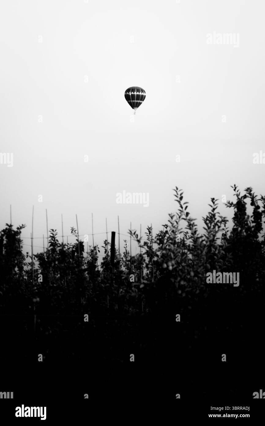Une composition minimaliste en noir et blanc saisissante mettant en scène une montgolfière montant contre un ciel clair et couvert, vu au-dessus de la sombre silhouette Banque D'Images