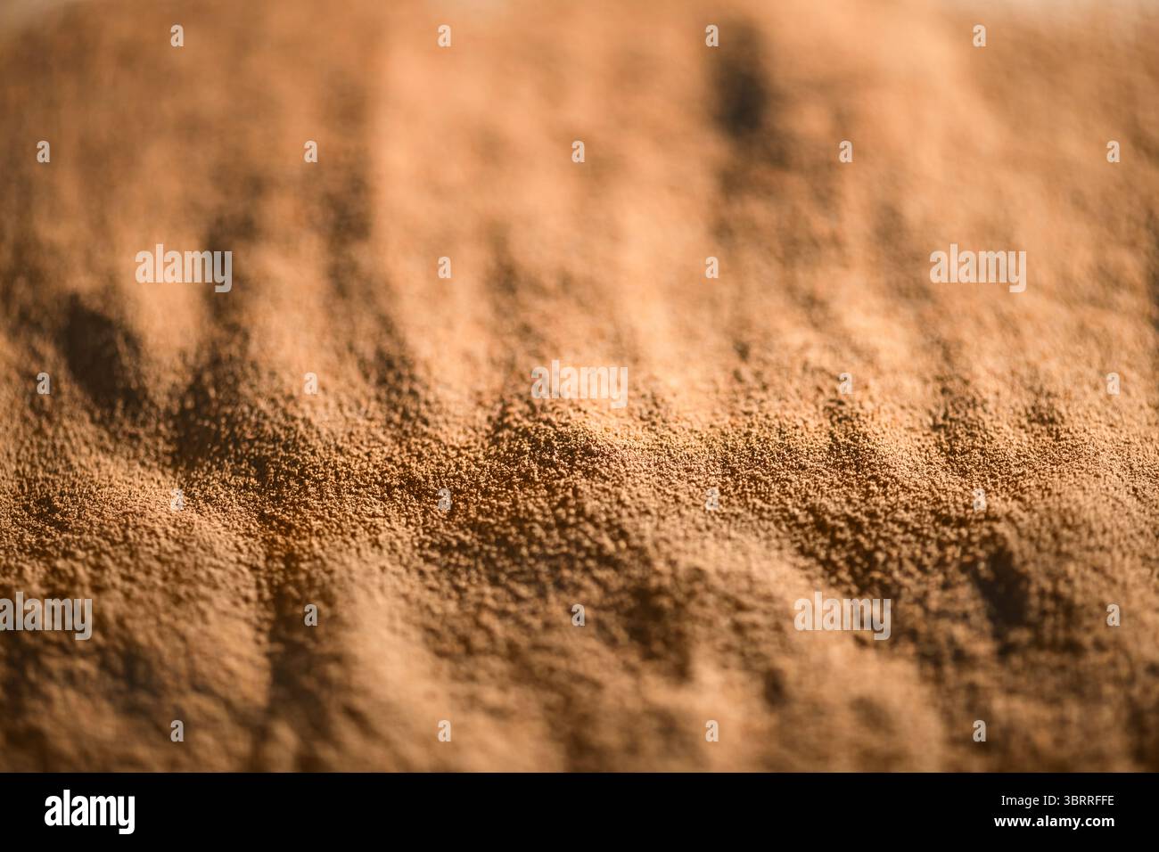 Vue rapprochée de la poudre de racine de chicorée moulue, révélant sa riche couleur brune et sa texture ondulée subtile, créant un motif visuel intéressant Banque D'Images