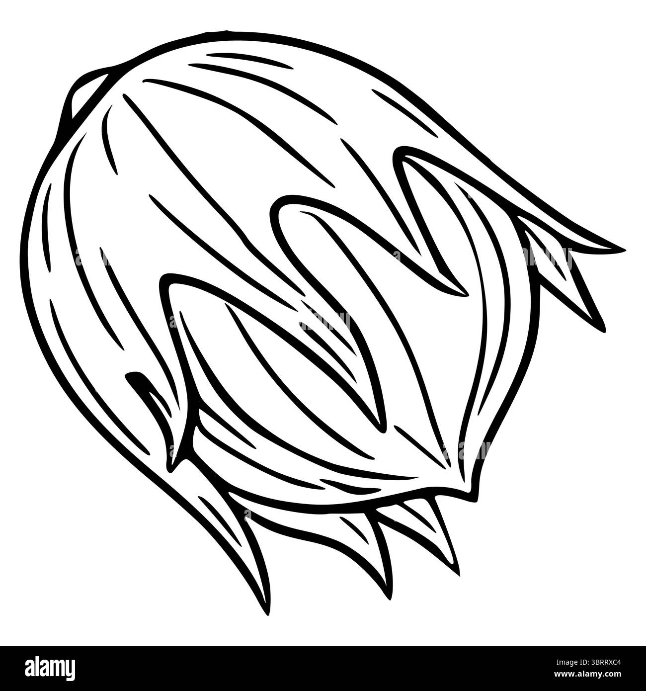 Illustration vectorielle élégante d'un bouton de fleur stylisé noir et blanc dessiné à la main, avec des lignes audacieuses et des formes organiques, parfait pour le design Illustration de Vecteur