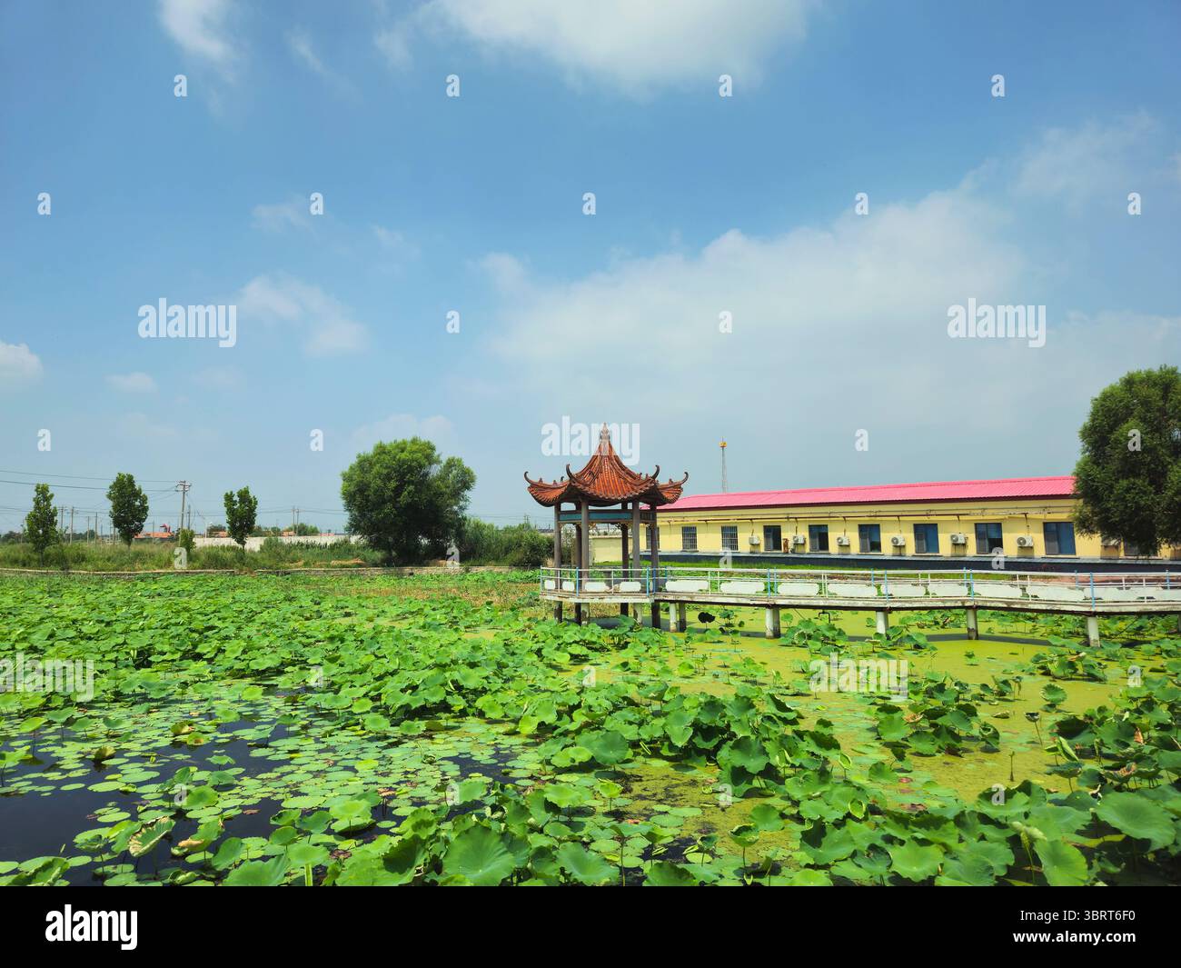 Étang Lotus avec pavillon traditionnel Banque D'Images