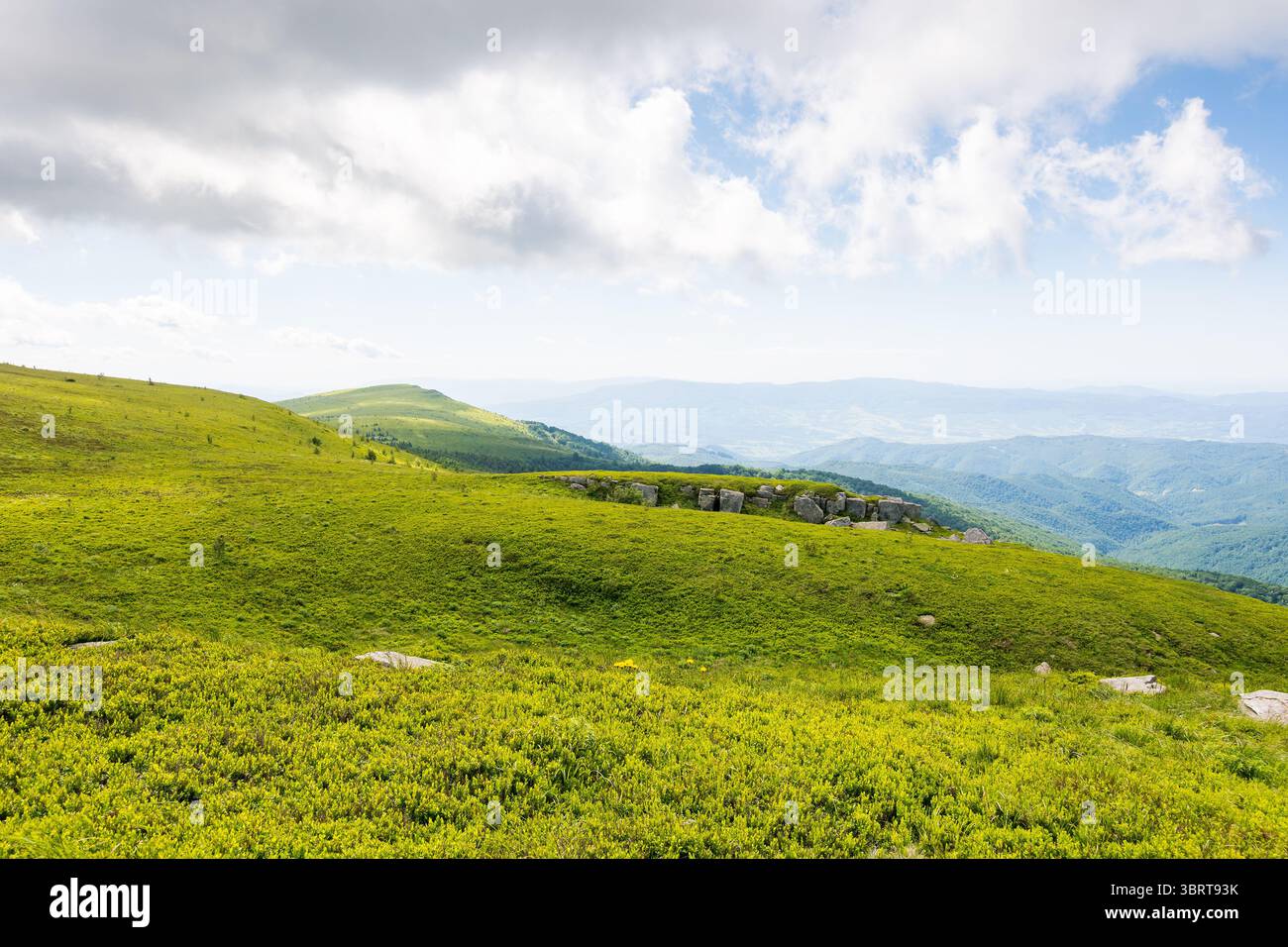 prairies verdoyantes du paysage de montagne des carpates. paysage de nature alpine avec des pierres parmi l'herbe luxuriante sur des collines ondulantes sous un ciel bleu avec des nuages. su Banque D'Images