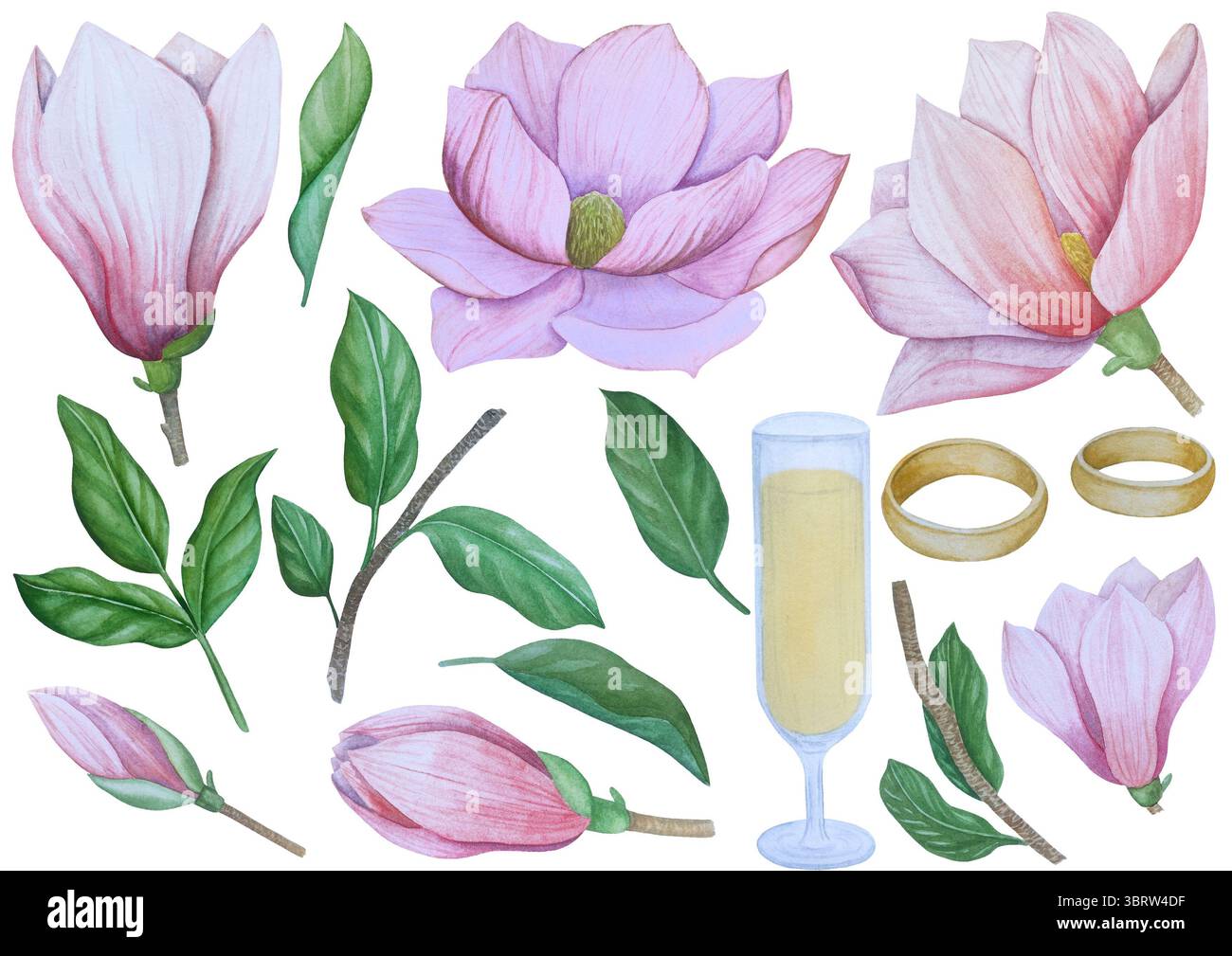 Ensemble clipart de mariage aquarelle. Illustrations peintes à la main avec attributs de mariage et fleurs de magnolia isolées sur blanc. Graphismes romantiques pour invit Banque D'Images