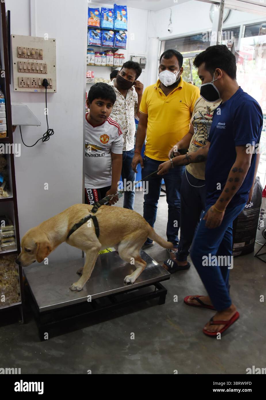28 septembre 2020, Guwahati, Inde : un employé de JBF pèse un chien avant de lui donner gratuitement le vaccin antirabique dans le cadre de la Journée mondiale contre la rage 2020, organisée par JBF à Ghoramara. (Crédit image : © Dasarath Deka/ZUMA Wire) Banque D'Images