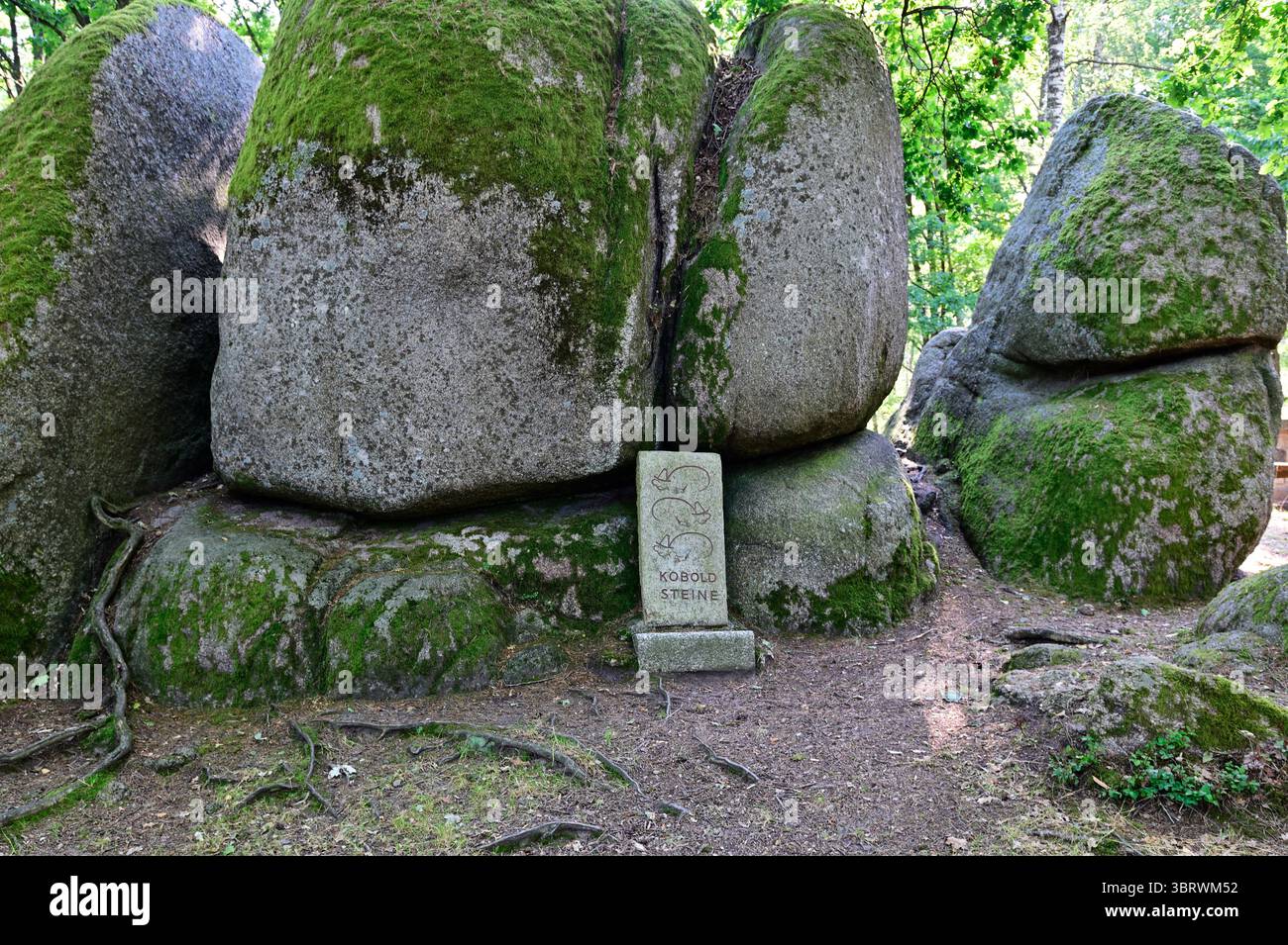 Gmünd, Waldviertel, basse-Autriche, Autriche. Parc naturel de Blockheide Banque D'Images
