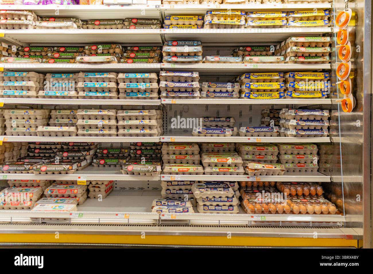 13 juillet 2025-Boston, ma, États-Unis : étagères vides dans une épicerie avec pénurie de produits de base mai, y compris des œufs. Banque D'Images