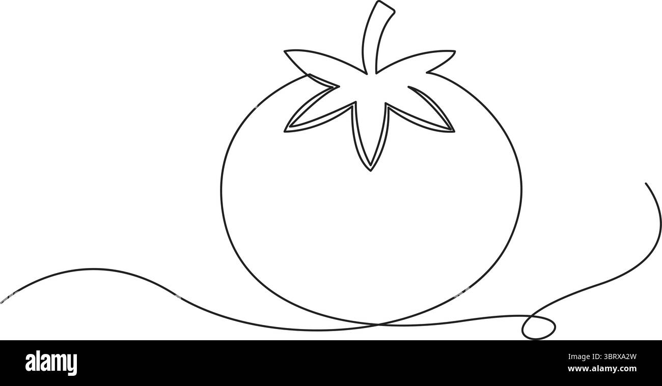 Tomate continue d'une ligne, illustration vectorielle Line Art pour une conception durable. Illustration de Vecteur