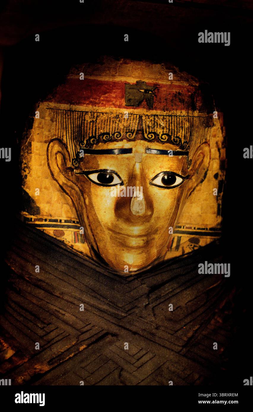 Mummy Head, les momies des périodes ptolémaïque et romaine primitive en Égypte (332-100 av. J.-C.) sont connues pour leurs pratiques funéraires élaborées, y compris des masques de cartonnage détaillés et des portraits peints, reflétant un mélange de styles égyptien et grec / romain. , Musée égyptien, Égypte Banque D'Images