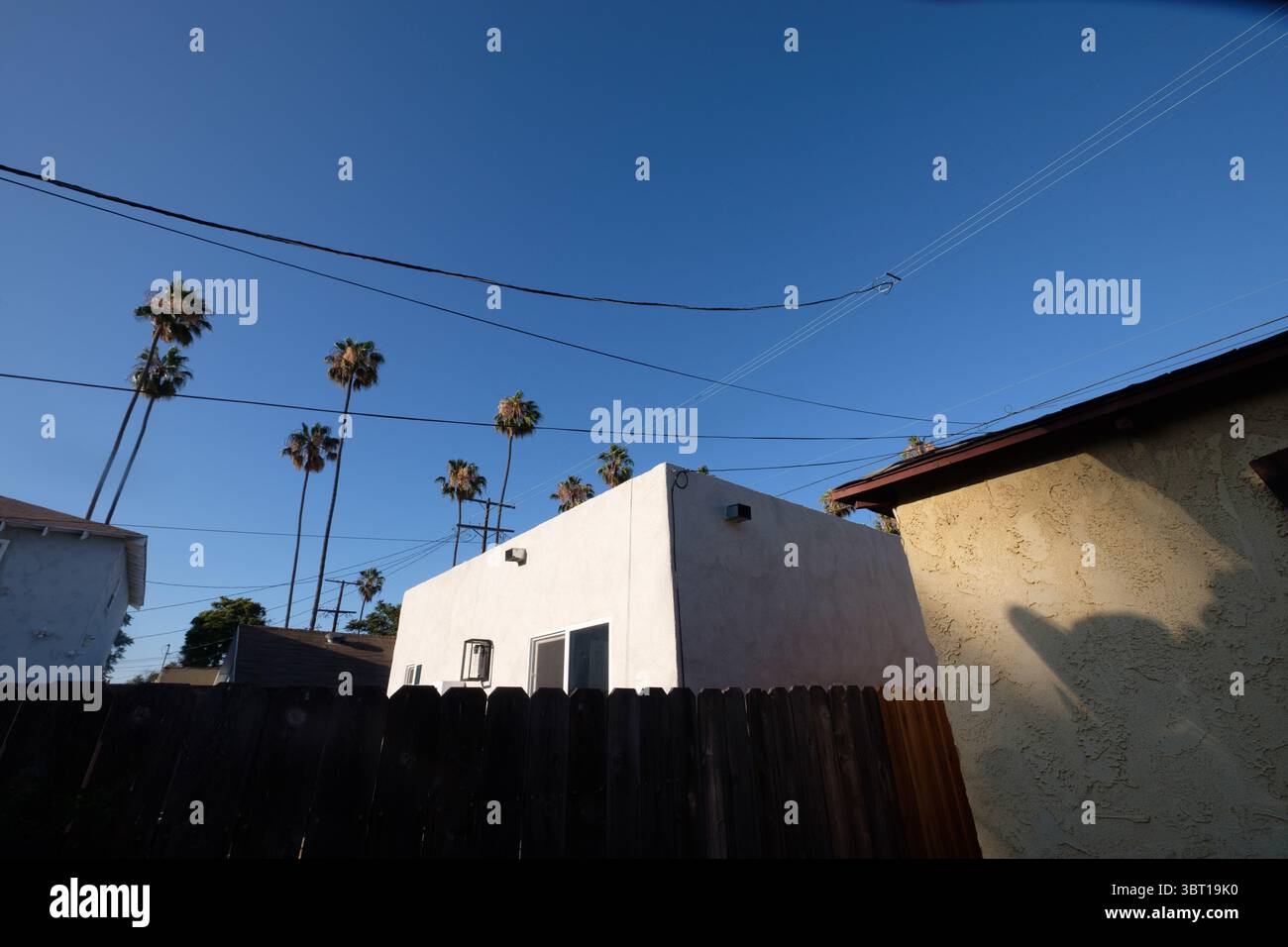 Palmiers et bâtiments en stuc dans le sud de Los Angeles, Californie, États-Unis. Banque D'Images
