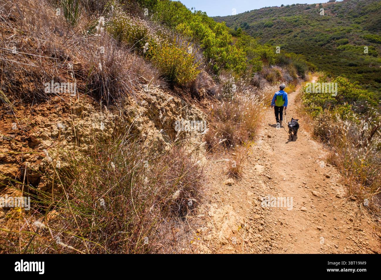 Marcher sur le sentier Solstice Canyon dans la zone de loisirs nationale des montagnes de Santa Monica à Malibu, Californie, États-Unis. Banque D'Images