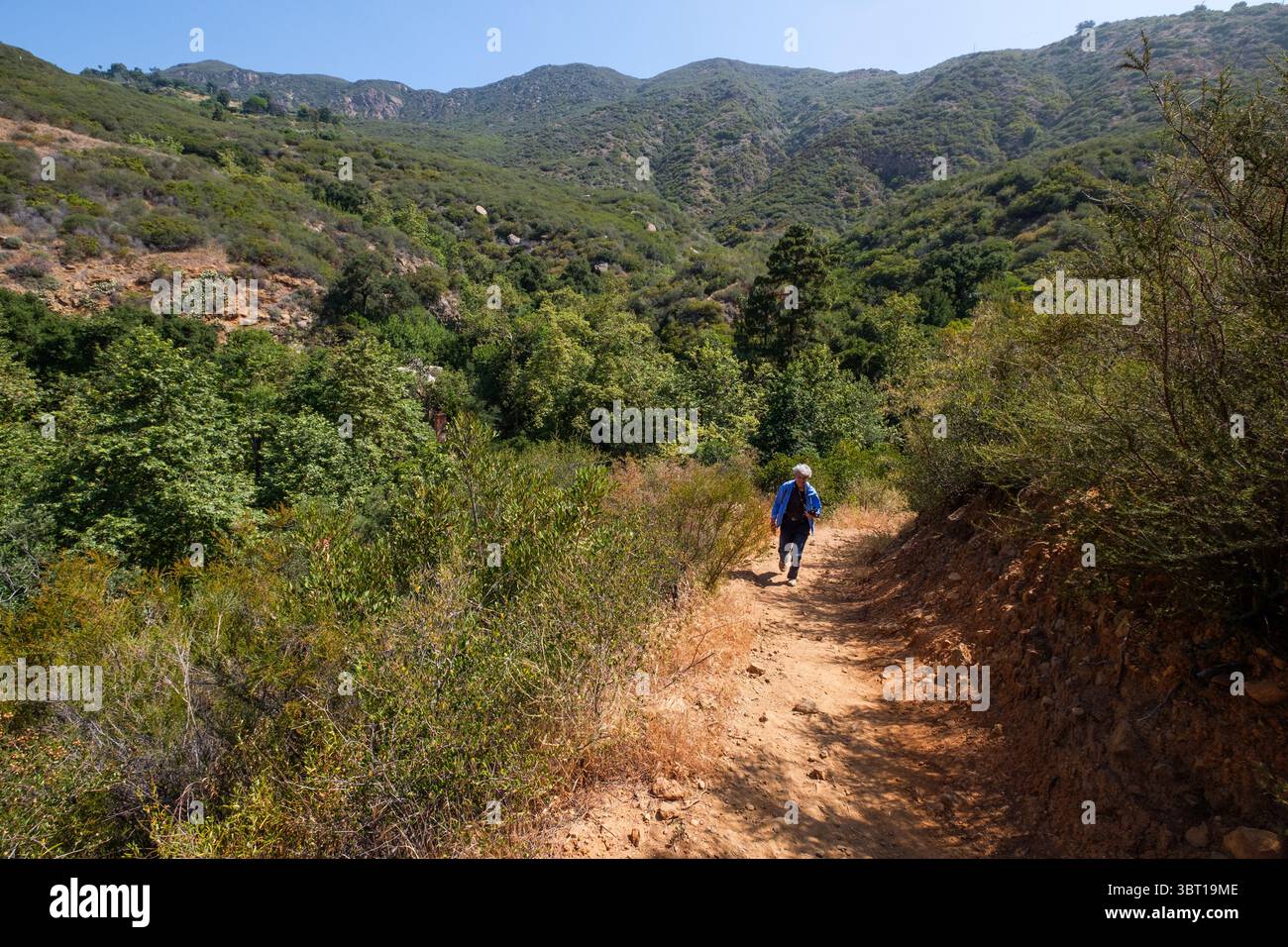 Marcher sur le sentier Solstice Canyon dans la zone de loisirs nationale des montagnes de Santa Monica à Malibu, Californie, États-Unis. Banque D'Images