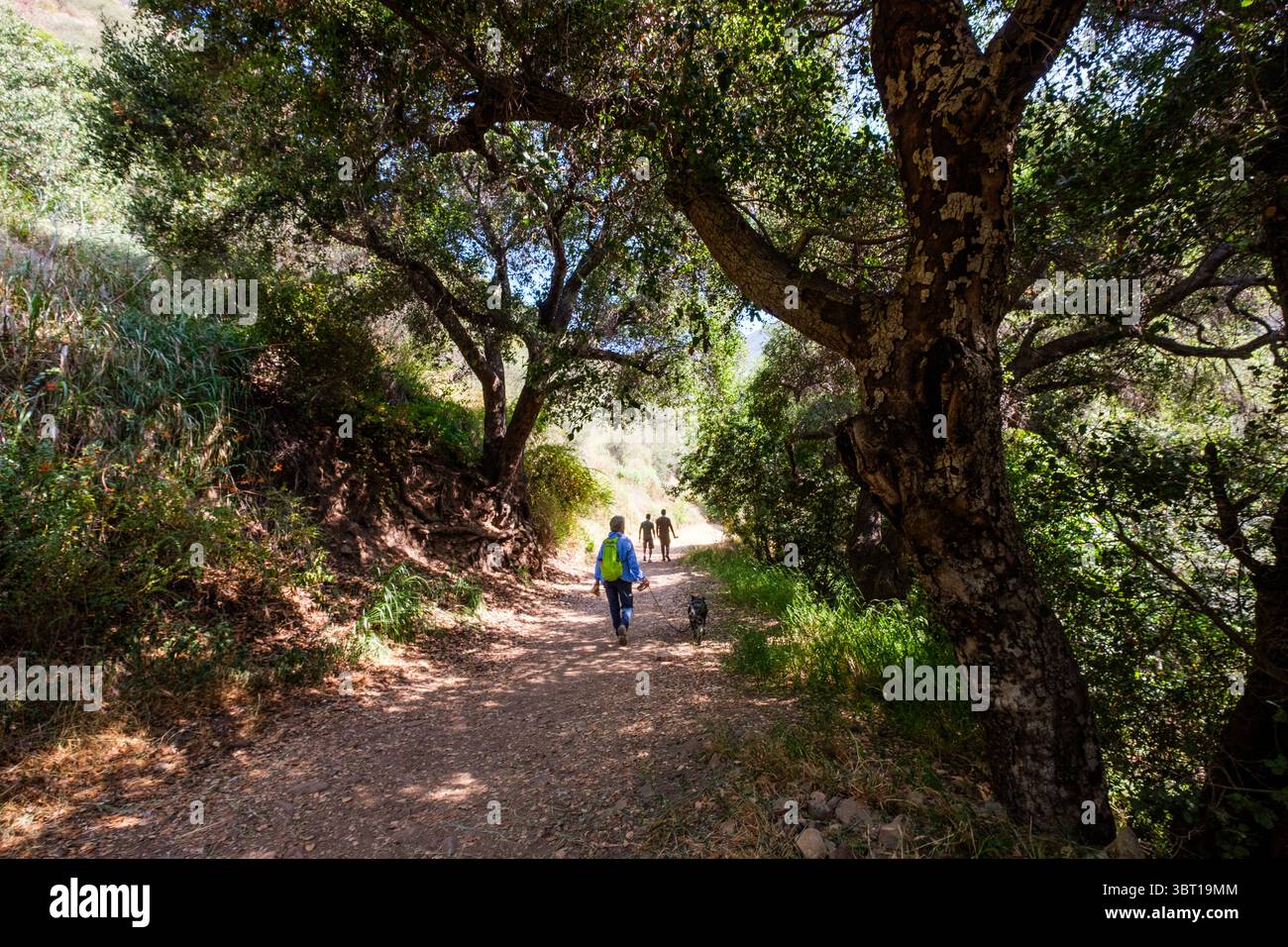 Marcher sur le sentier Solstice Canyon dans la zone de loisirs nationale des montagnes de Santa Monica à Malibu, Californie, États-Unis. Banque D'Images