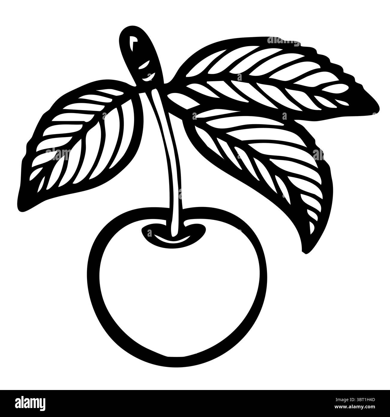 Illustration vectorielle simple en noir et blanc d'un fruit avec deux feuilles attachées à sa tige. Le fruit est rond et semble être une pomme ou similaire Illustration de Vecteur