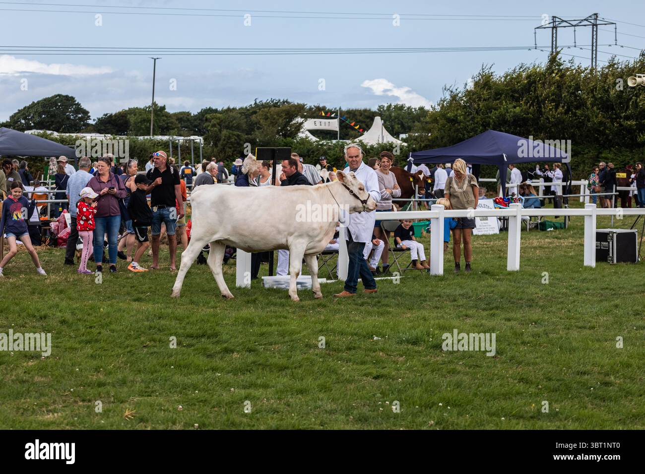 Stithians, Cornouailles, Royaume-Uni. 14 juillet 2025. Le spectacle Stithians a eu lieu aujourd'hui malgré de fortes averses de pluie. Cornwall plus grand salon agricole d'un jour, offre un goût traditionnel de la vie rurale. Stithians Show avait quelque chose pour tout le monde ; expositions et démonstrations, animaux, foire, véhicules anciens, nourriture et artisanat et un grand choix de shopping dans les stands commerciaux et les producteurs locaux. Crédit : Keith Larby/Alamy Live News Banque D'Images