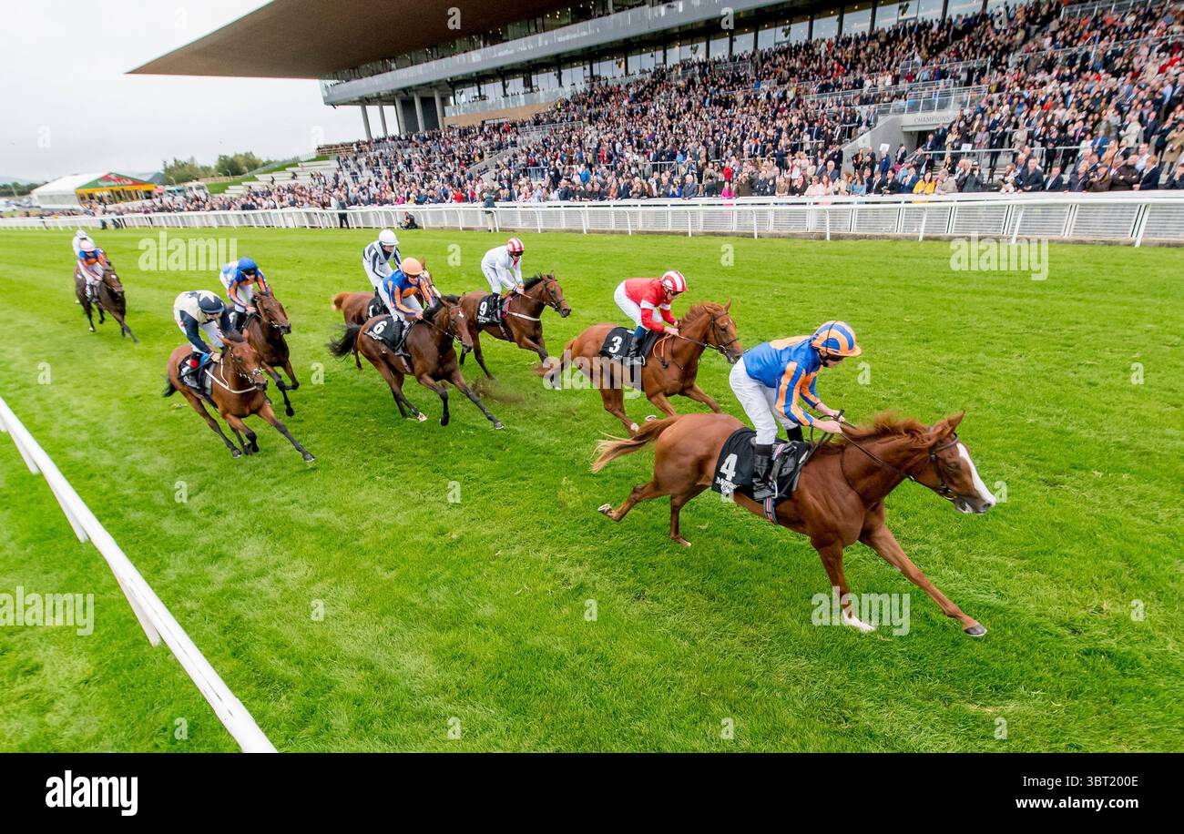 15 septembre 2019, Curragh, Curragh, États-Unis : 15 septembre, 2019 : Love #4, piloté par Ryan Moore, remporte les Moyglare Stud Stakes lors de la deuxième journée du week-end des Irish Champions au Curragh à Curragh, en Irlande. Scott Serio/Eclipse Sportswire/CSM(image de crédit : &copy ; Scott Serio/CSM via ZUMA Wire) Banque D'Images
