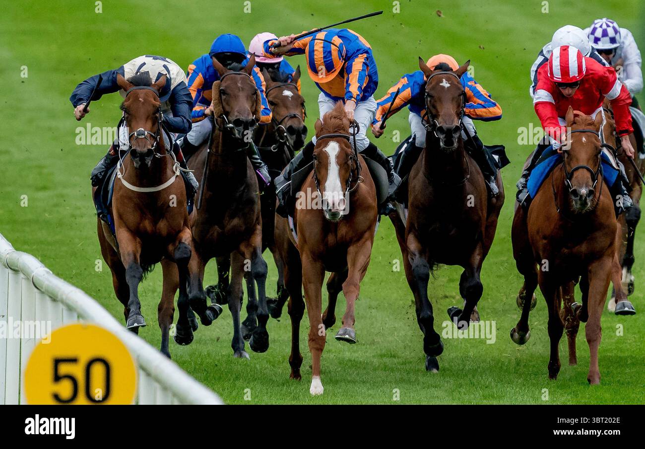 15 septembre 2019, Curragh, Curragh, États-Unis : 15 septembre, 2019 : The Field, dirigé par Love, mène la première ligne droite dans les Moyglare Stud Stakes lors du deuxième jour du week-end des Irish Champions au Curragh à Curragh, en Irlande. Scott Serio/Eclipse Sportswire/CSM(image de crédit : &copy ; Scott Serio/CSM via ZUMA Wire) Banque D'Images