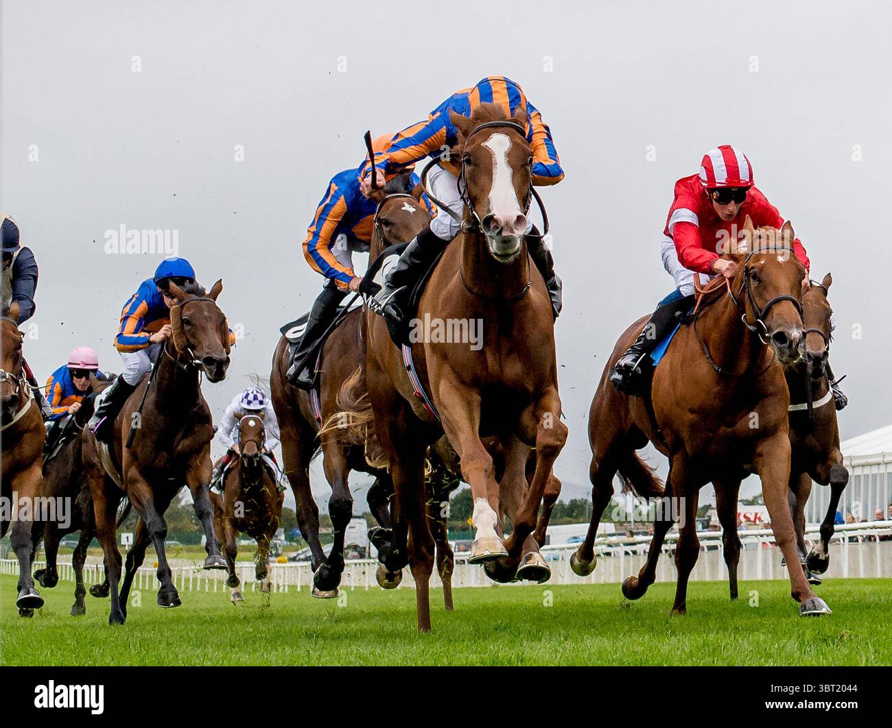 15 septembre 2019, Curragh, Curragh, États-Unis : 15 septembre, 2019 : Love #4, piloté par Ryan Moore, remporte les Moyglare Stud Stakes lors de la deuxième journée du week-end des Irish Champions au Curragh à Curragh, en Irlande. Scott Serio/Eclipse Sportswire/CSM(image de crédit : &copy ; Scott Serio/CSM via ZUMA Wire) Banque D'Images