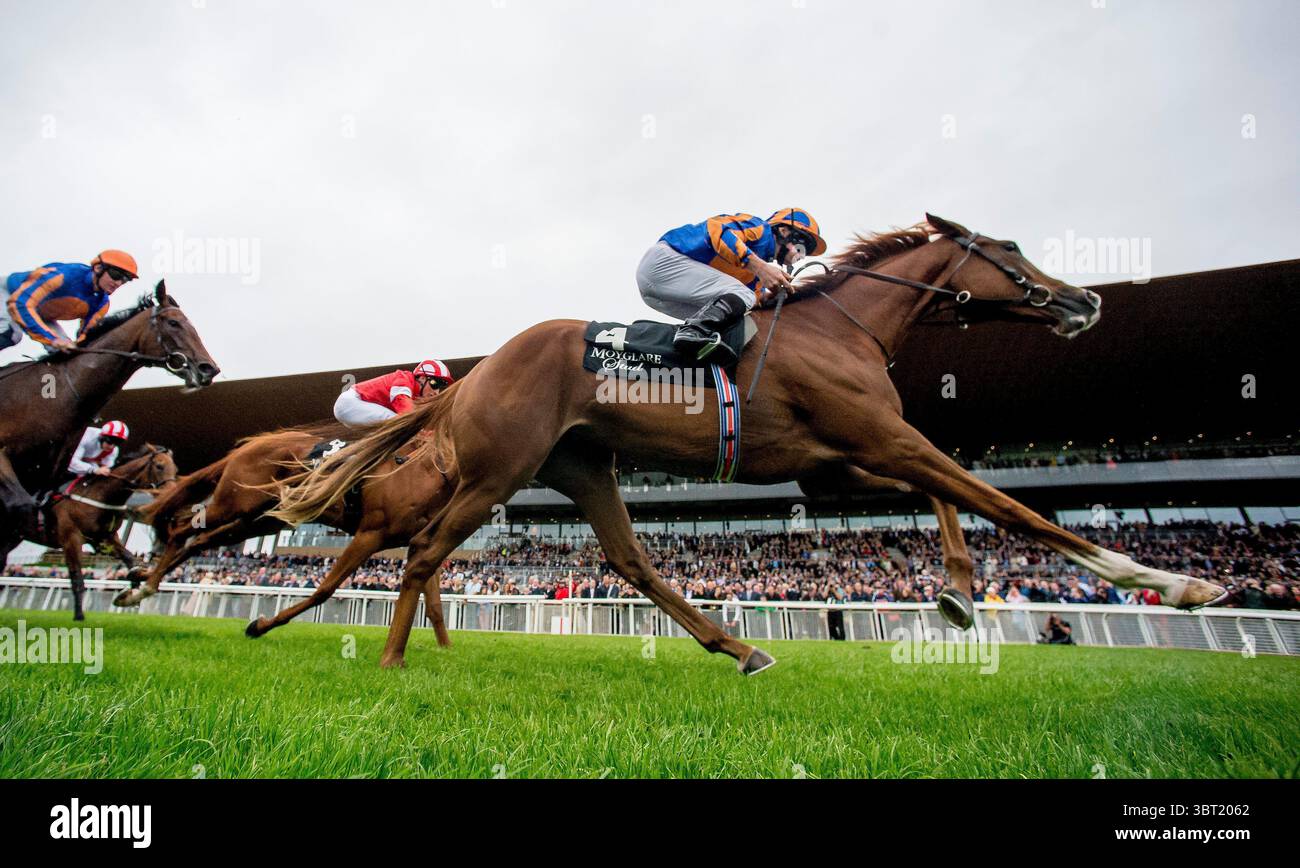 15 septembre 2019, Curragh, Curragh, États-Unis : 15 septembre, 2019 : Love #4, piloté par Ryan Moore, remporte les Moyglare Stud Stakes lors de la deuxième journée du week-end des Irish Champions au Curragh à Curragh, en Irlande. Scott Serio/Eclipse Sportswire/CSM(image de crédit : &copy ; Scott Serio/CSM via ZUMA Wire) Banque D'Images