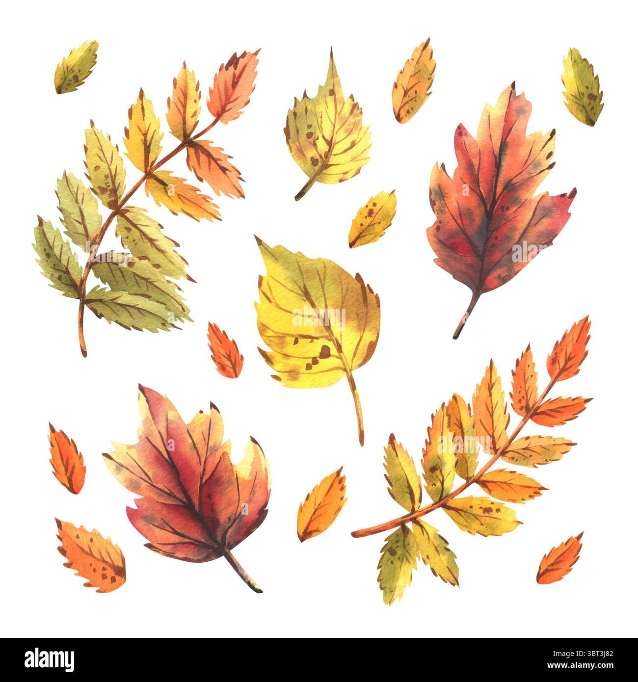 Un ensemble d'illustrations aquarelles avec des feuilles d'automne colorées, rowan, érable, bouleau, dessiné à la main juteux, lumineux, texturé. Clip art idéal pour la saison Banque D'Images