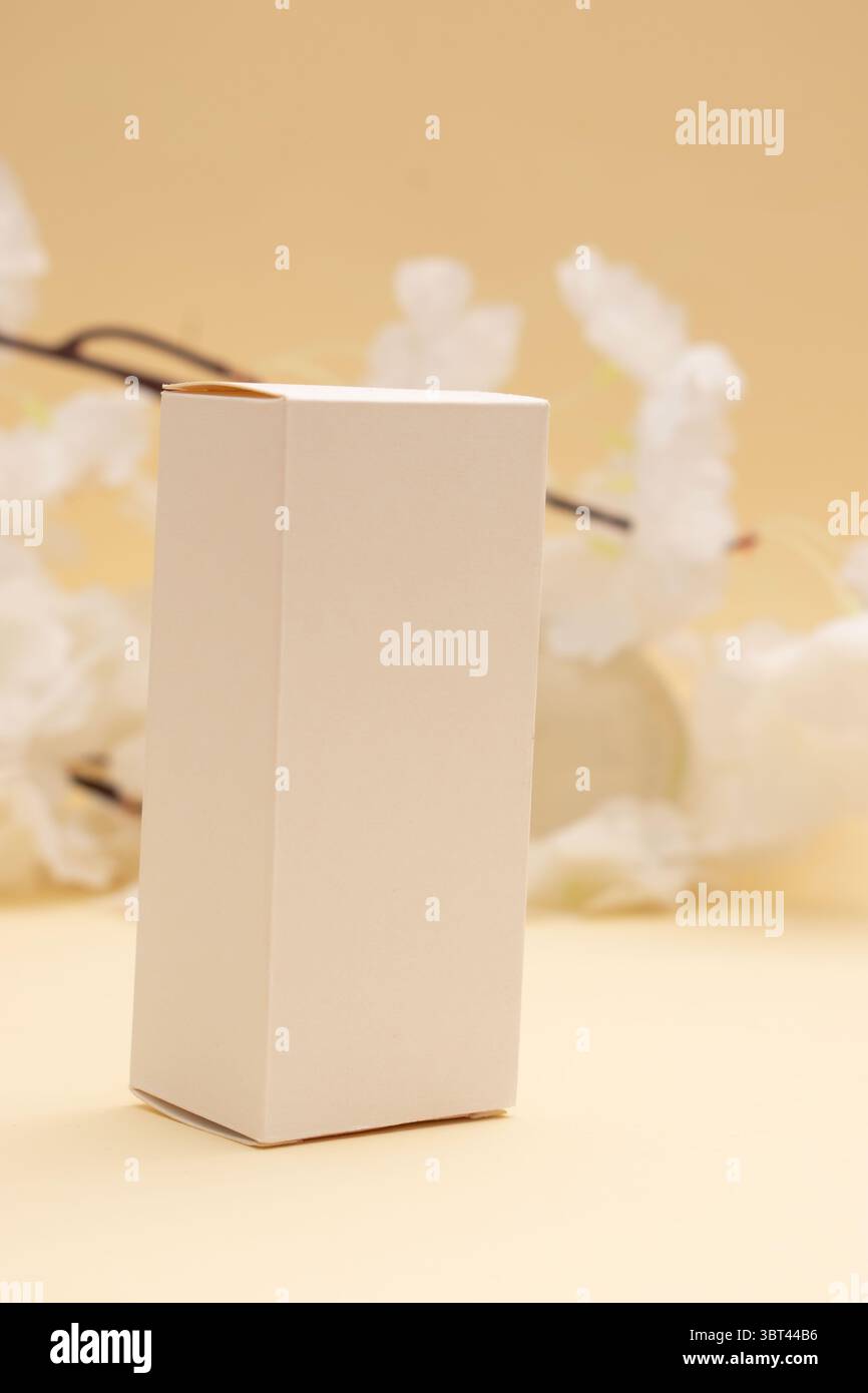 Boîtes en carton écologiques – maquette d’emballage durable Banque D'Images