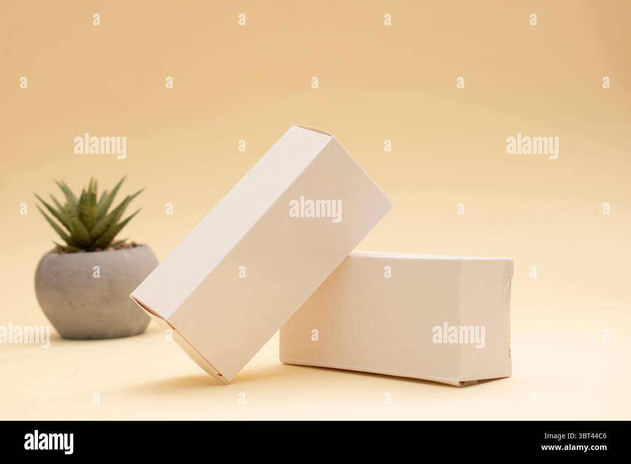 Boîtes en carton écologiques – maquette d’emballage durable Banque D'Images