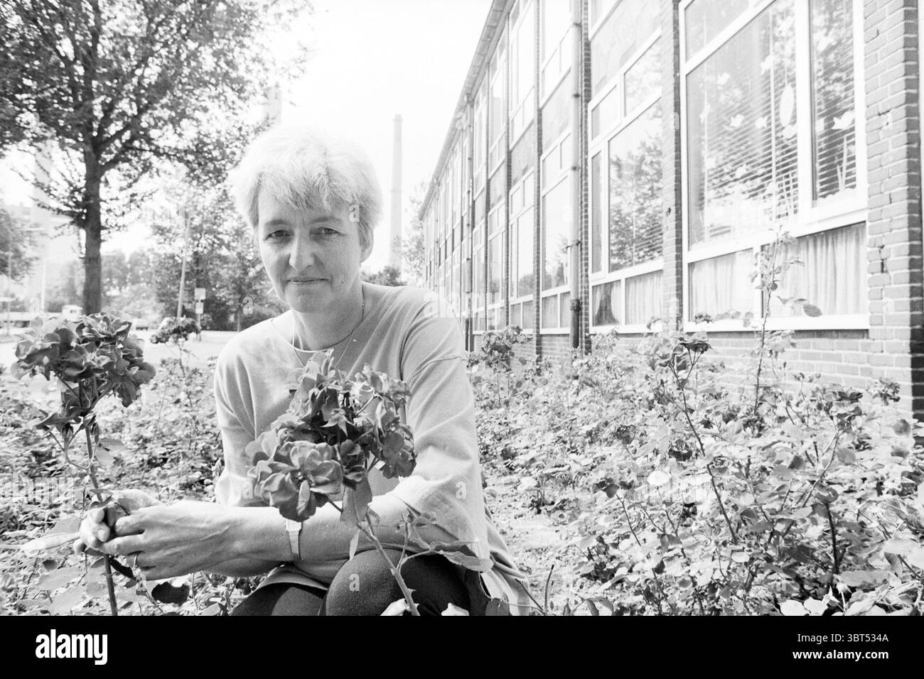 MRS Rapaic Velsen-Noord Velsen-Noord, Whizgle News, Dutch Desk, pays-Bas, 1950 - 2000 le 01-08-1992. L'image inclut ces rubriques. Dans un cadre extérieur serein, une femme est assise parmi les fleurs en fleurs, en particulier les géraniums, qui ajoutent des éclaboussures de couleurs douces à la scène. Le jardin semble bien entretenu, avec un mélange de verdure et de pétales vibrants. La femme est habillée d'un haut de couleur claire, contrastant avec les teintes profondes des fleurs. Autour d'elle se trouve une toile de fond d'un grand bâtiment en briques caractérisé par de nombreuses fenêtres qui reflètent la lumière du jour, créant un sentiment d'ouverture Banque D'Images