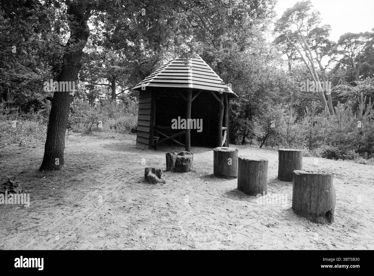 Witch House' Groenendaal, Whizgle News, Dutch Desk, pays-Bas, 1950 - 2000 le 17-06-1992. Voici les rubriques de l'image. La scène capture un cadre tranquille et naturel, principalement caractérisé par une palette de couleurs monochromes qui évoque un sentiment de nostalgie. Au centre se dresse un abri rustique en bois, son toit incliné construit avec des bardeaux sombres qui se chevauchent. La structure semble invitante mais altérée, suggérant une longue histoire au milieu de l'environnement naturel. Autour de l'abri, un tapis de terre molle et de feuillage épars indique un chemin bien parcouru, menant vers le Banque D'Images