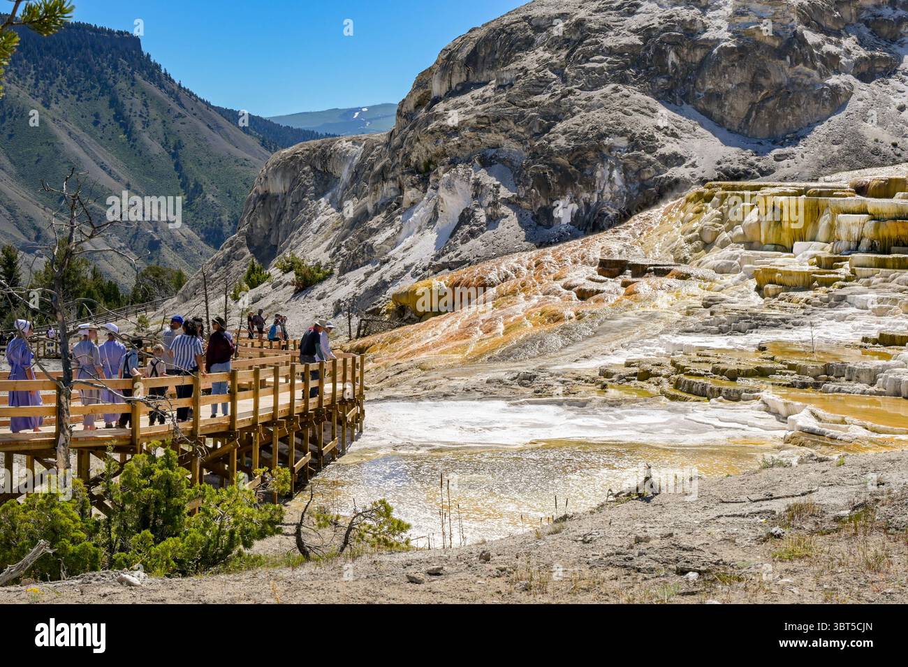 Mammoth Hot Springs, Yellowstone, Wyoming, États-Unis - 31 mai 2025 : les gens marchent sur une promenade pour visiter la zone géothermique de Mammoth Hot Springs Banque D'Images