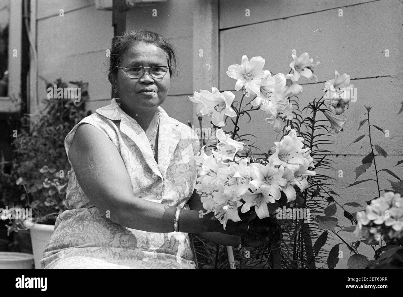 MRS Bauwing avec des personnes de fleurs, Whizgle News, Dutch Desk, pays-Bas, 1950 - 2000 on 10-07-1973. Voici les rubriques de l'image. La scène capture une femme assise au milieu d'un jardin, entourée de fleurs vibrantes. Elle a une expression douce et porte une robe à motifs de couleur claire qui suggère un sentiment de calme et de tranquillité. Ses cheveux sont soigneusement coiffés, et elle porte des lunettes qui donnent un air de sagesse. Les fleurs qu'elle tient sont bien en évidence, leurs pétales blancs ornés de subtiles nuances de jaune, créant un contraste saisissant avec le feuillage vert foncé. L'arrangement i Banque D'Images